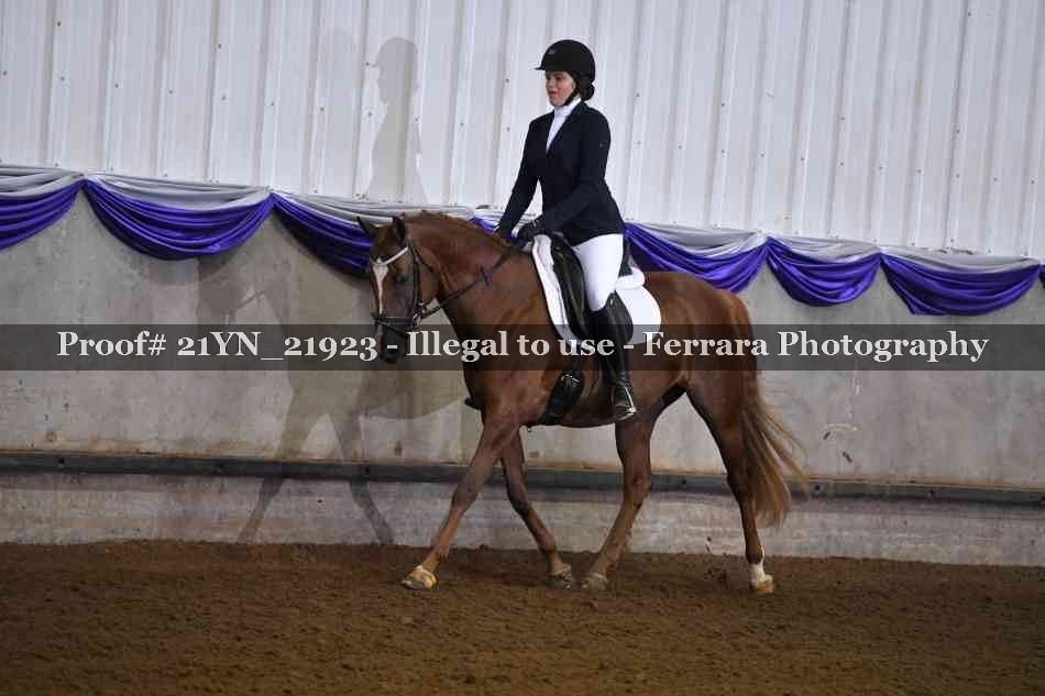 Proof Number 21YN_21923