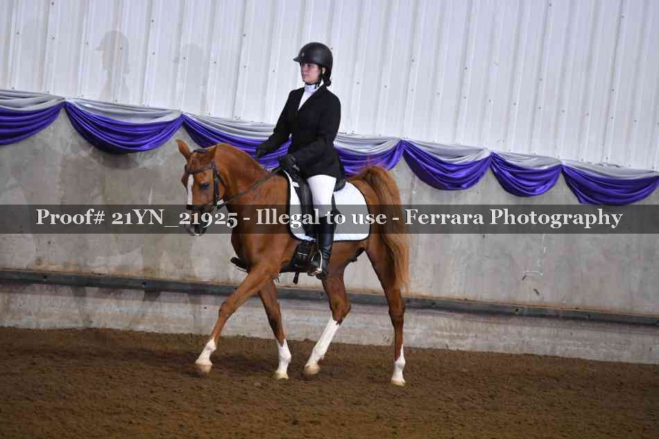 Proof Number 21YN_21925