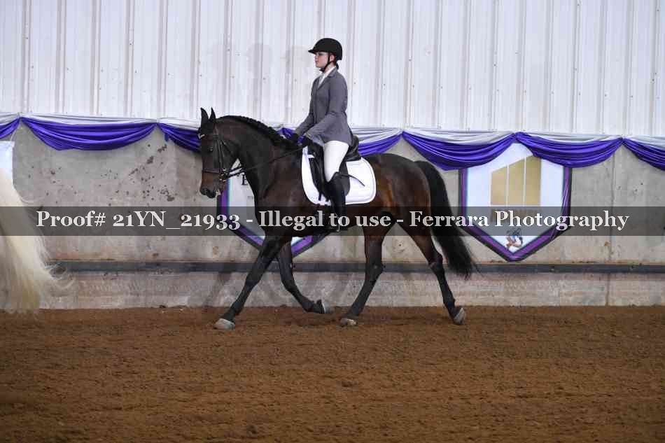 Proof Number 21YN_21933