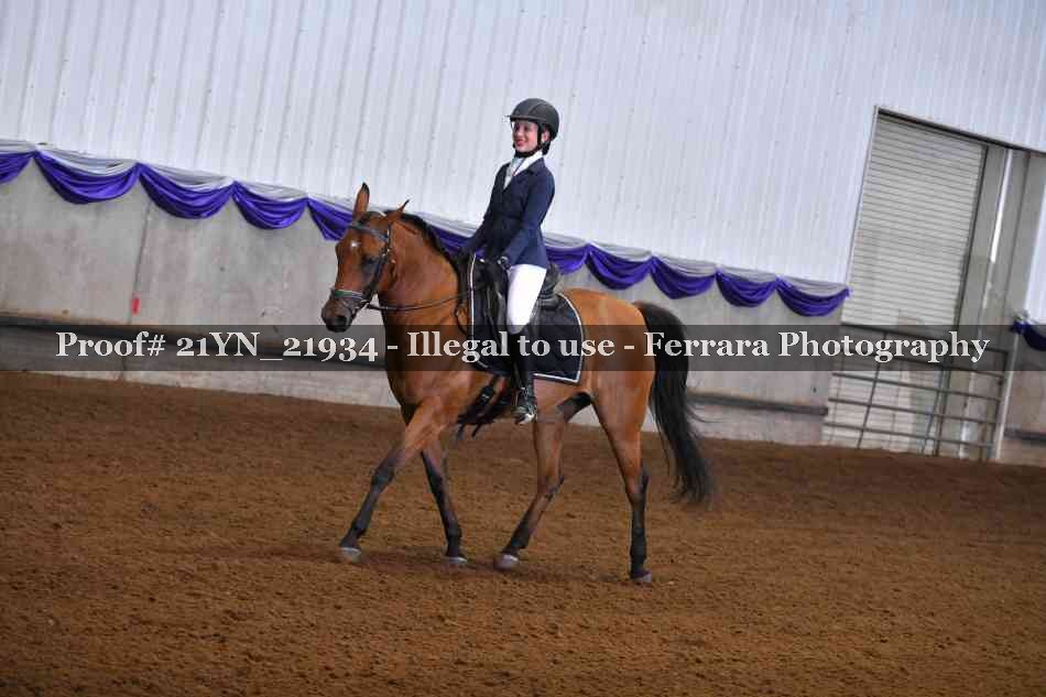 Proof Number 21YN_21934