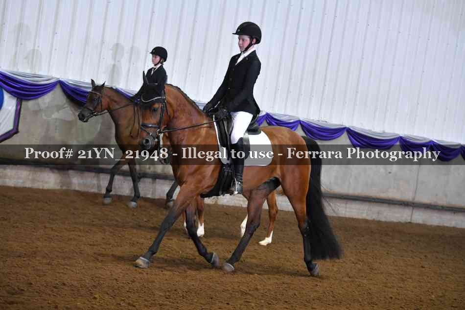 Proof Number 21YN_21948