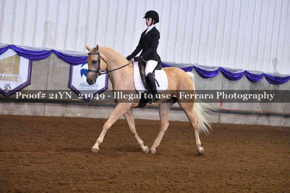 Proof Number 21YN_21949