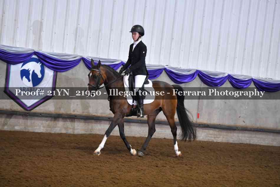 Proof Number 21YN_21950