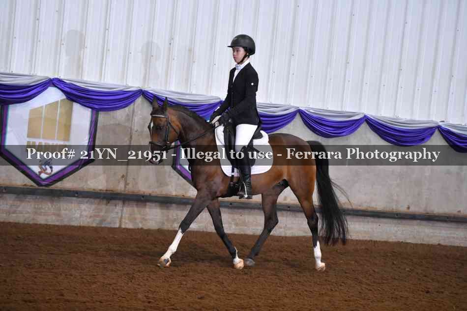 Proof Number 21YN_21951