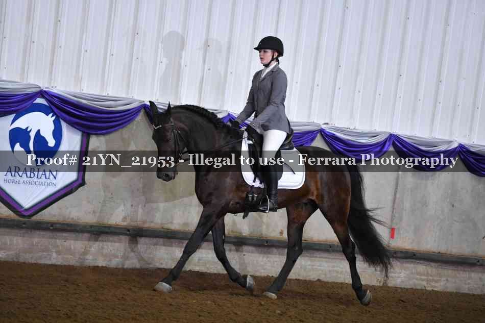 Proof Number 21YN_21953