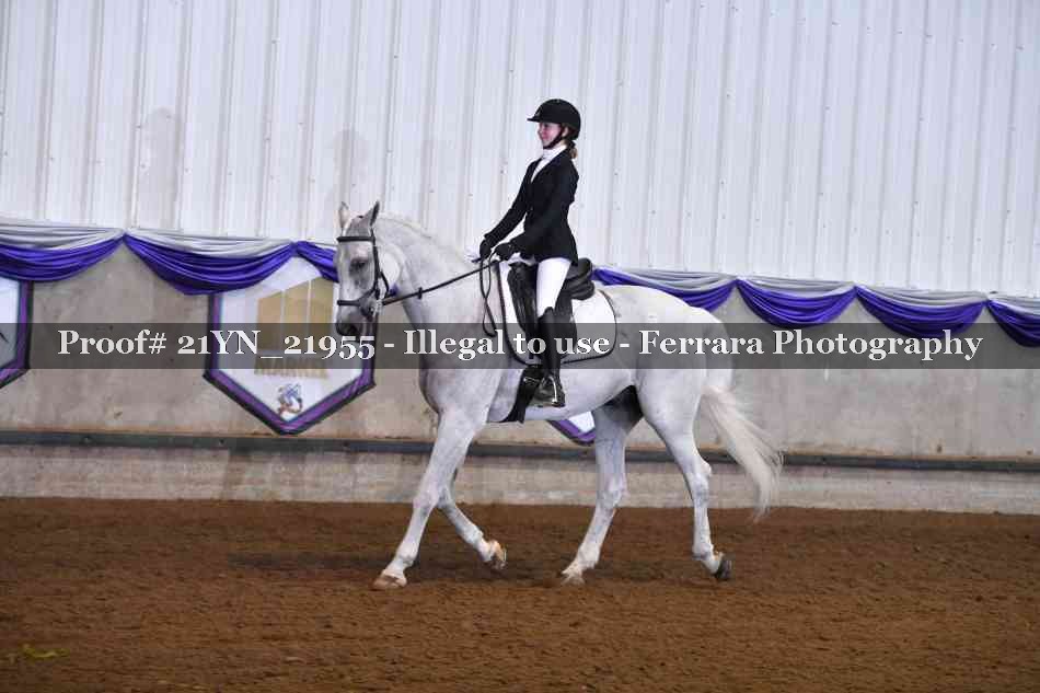 Proof Number 21YN_21955
