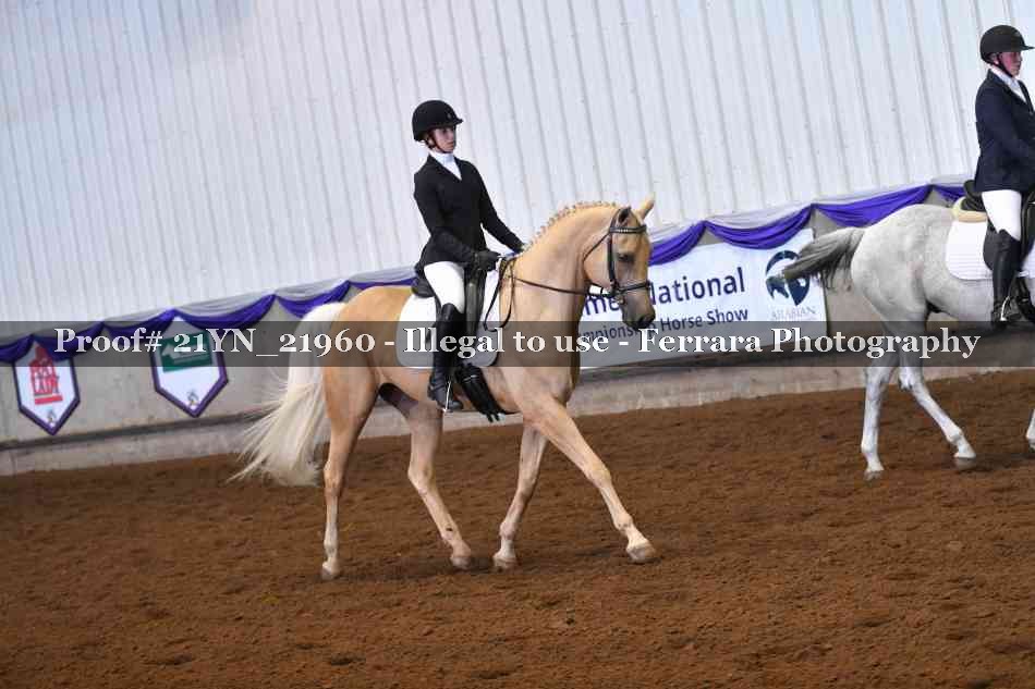 Proof Number 21YN_21960
