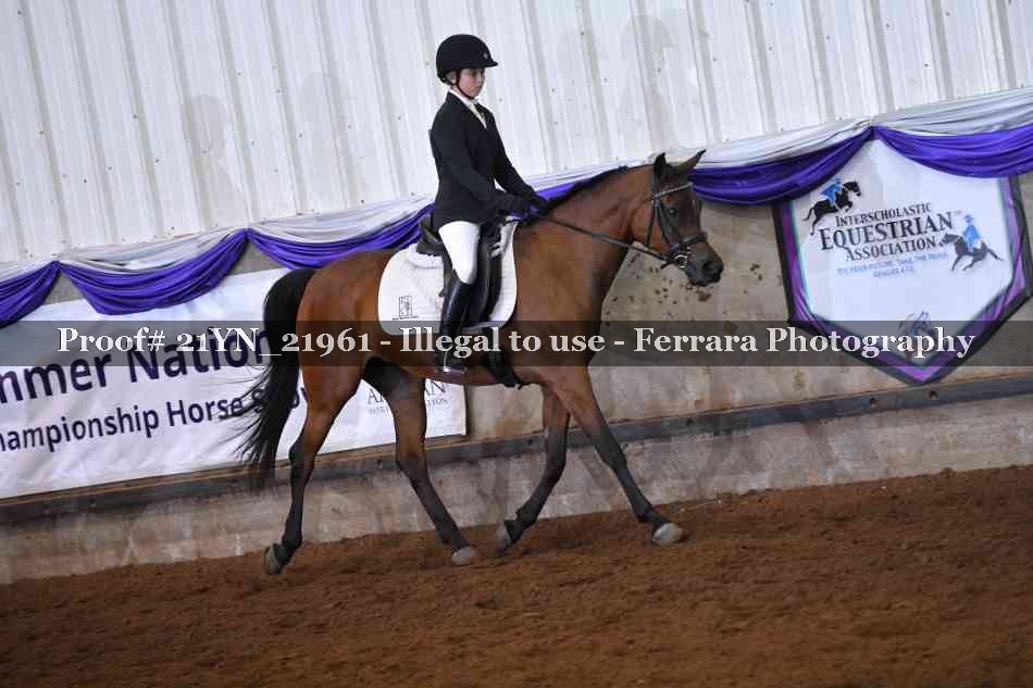 Proof Number 21YN_21961