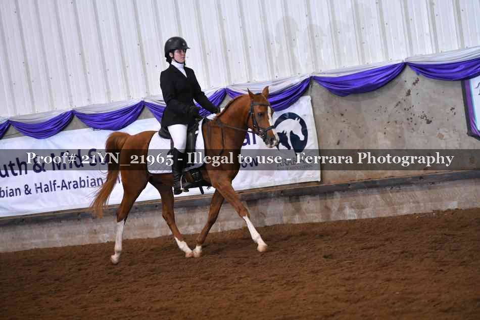 Proof Number 21YN_21965