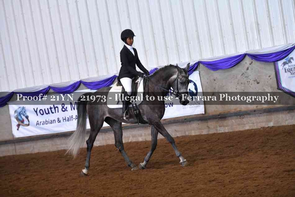 Proof Number 21YN_21973