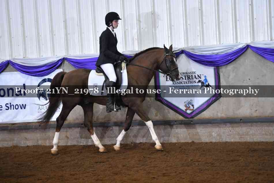 Proof Number 21YN_21978