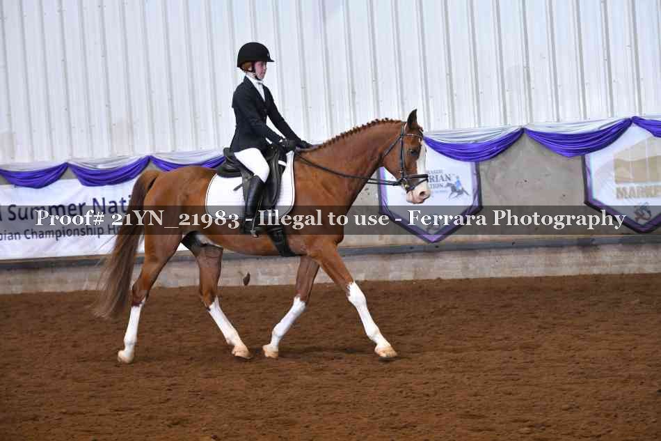 Proof Number 21YN_21983