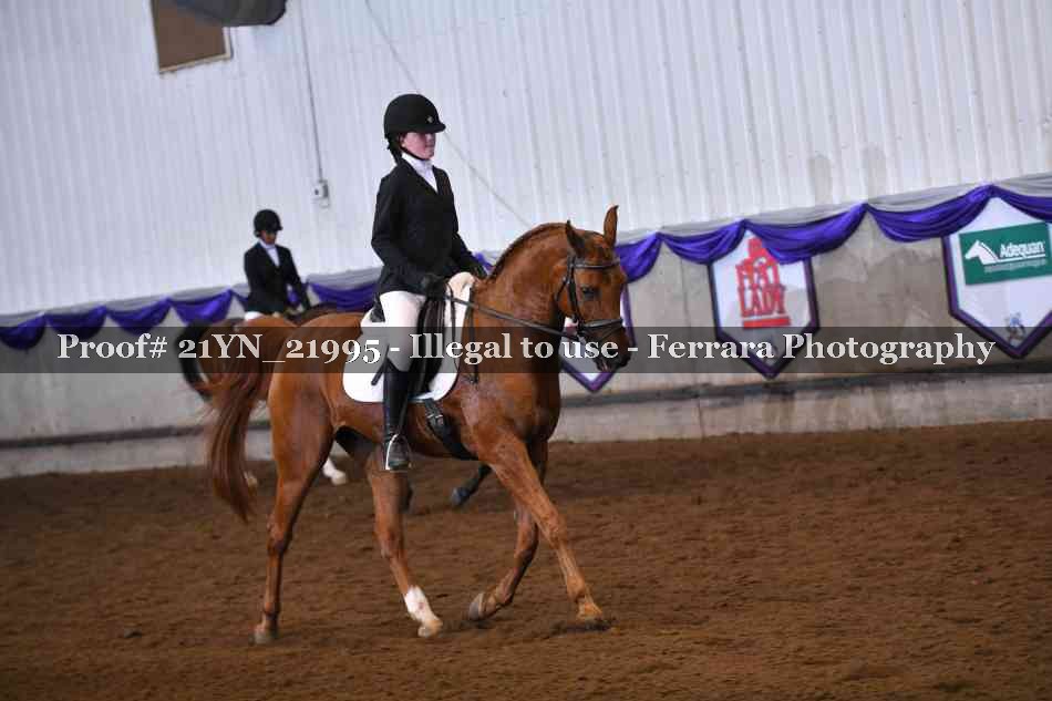 Proof Number 21YN_21995