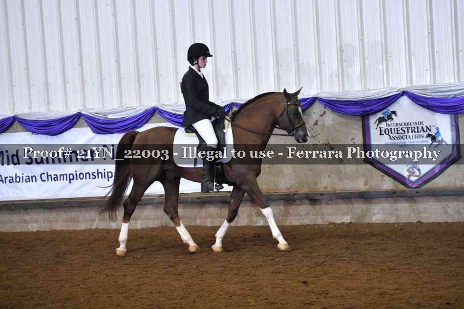 Proof Number 21YN_22003