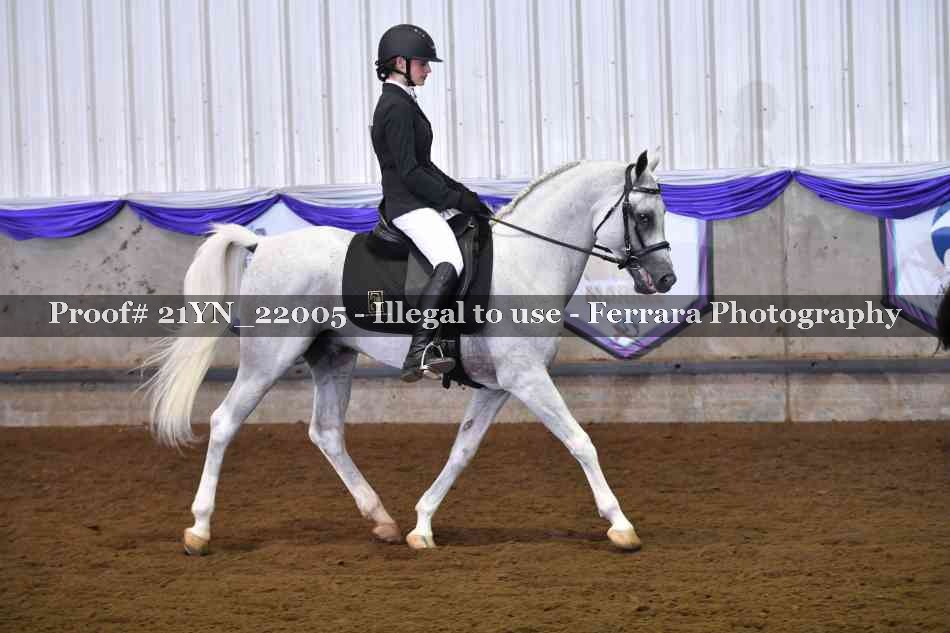 Proof Number 21YN_22005