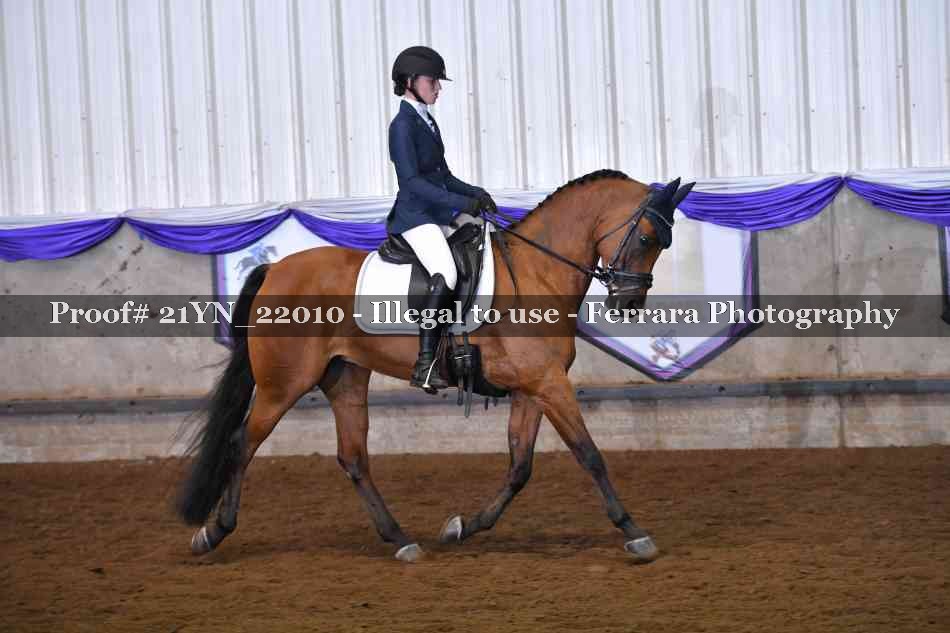Proof Number 21YN_22010