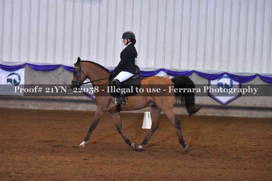 Proof Number 21YN_22058