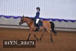 21YN_22171 thumbnail