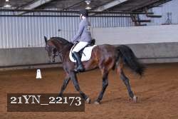 21YN_22173 thumbnail