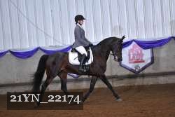 21YN_22174 thumbnail