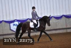 21YN_22175 thumbnail