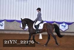 21YN_22176 thumbnail