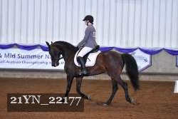 21YN_22177 thumbnail