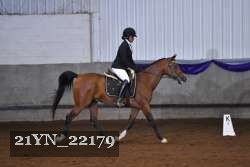 21YN_22179 thumbnail