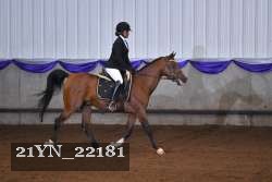 21YN_22181 thumbnail