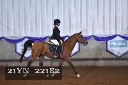 21YN_22182 thumbnail