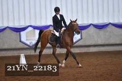 21YN_22183 thumbnail