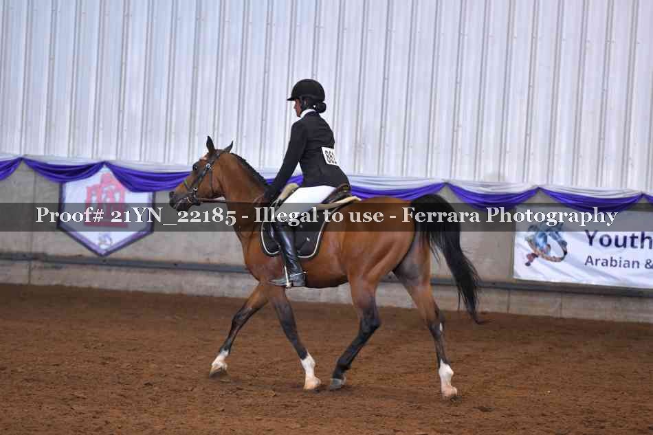 Proof Number 21YN_22185