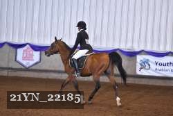 21YN_22185 thumbnail