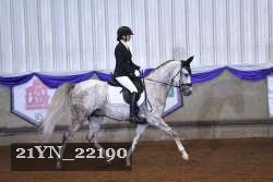 21YN_22190 thumbnail