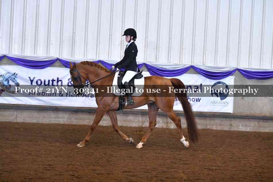 Proof Number 21YN_30341