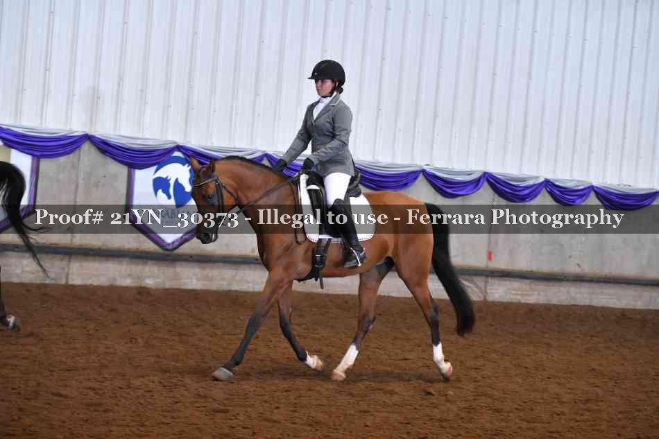Proof Number 21YN_30373