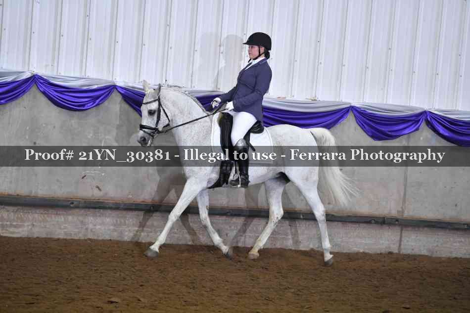 Proof Number 21YN_30381