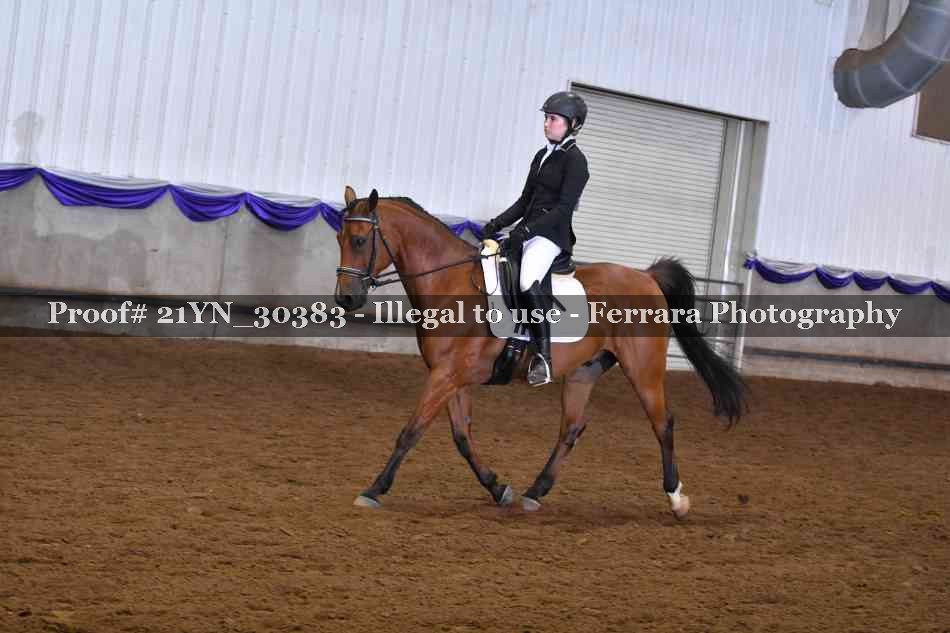 Proof Number 21YN_30383