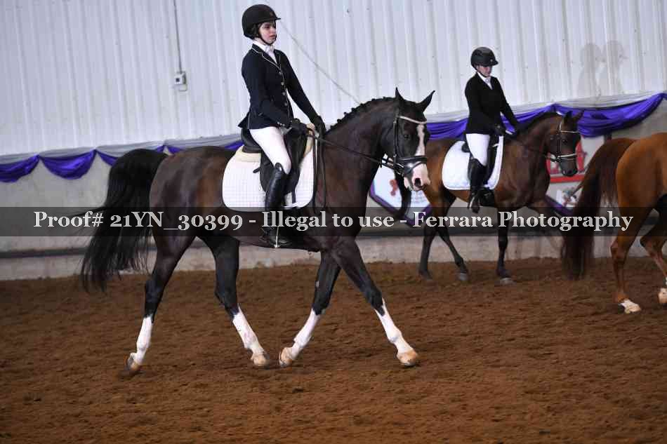 Proof Number 21YN_30399