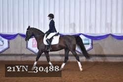 21YN_30488 thumbnail