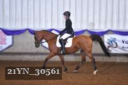 21YN_30561 thumbnail