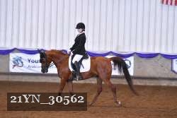 21YN_30562 thumbnail