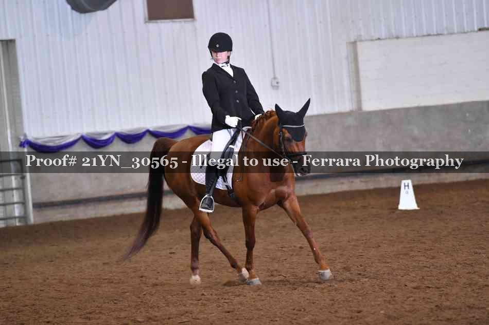 Proof Number 21YN_30565