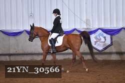 21YN_30566 thumbnail