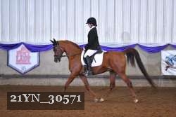 21YN_30571 thumbnail