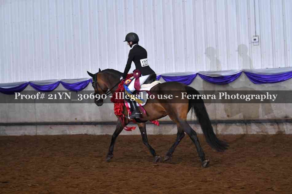 Proof Number 21YN_30690