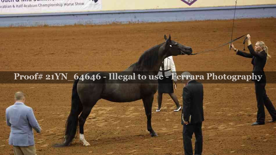Proof Number 21YN_64646