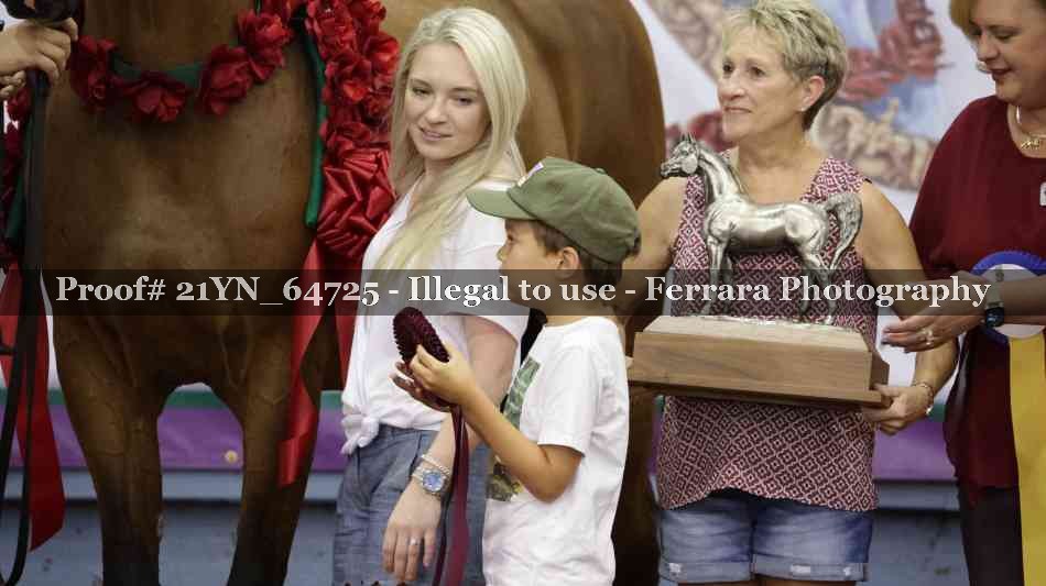 Proof Number 21YN_64725