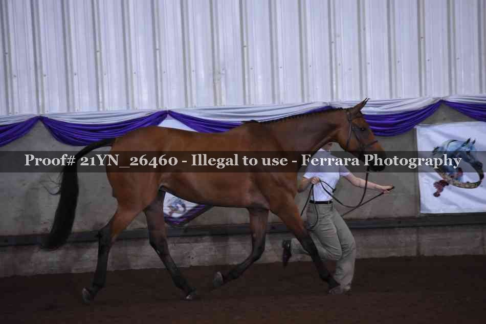 Proof Number 21YN_26460