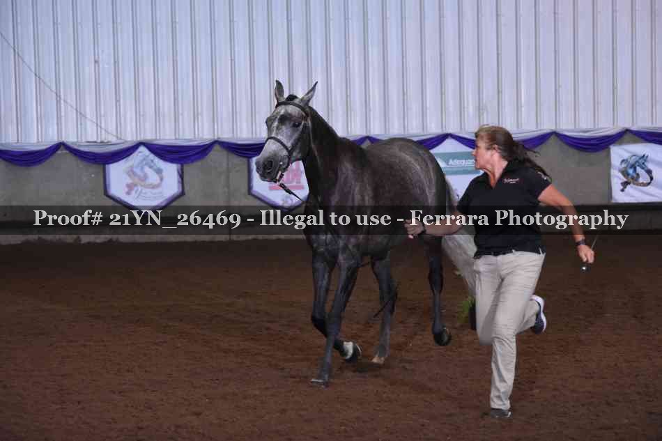 Proof Number 21YN_26469